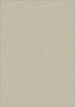 Тонкий ковер RIVA 1668 76