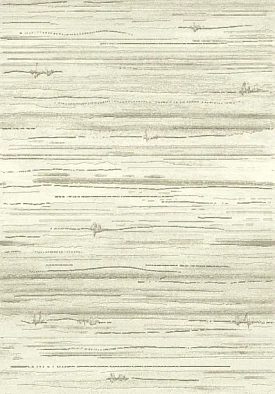 Ковер ARGENTUM 63871 6575