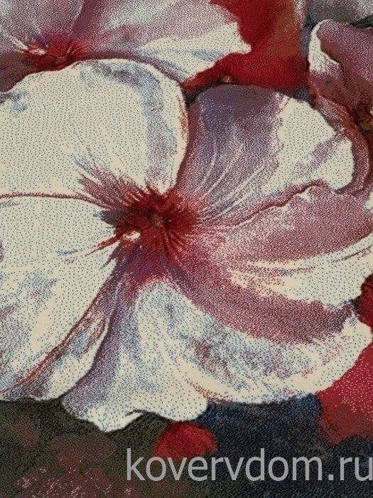 Шерстяной ковер Hunnu R Цветы 6A2362 165